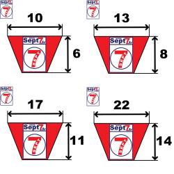 Courroie PowerTwist Plus C22X14