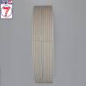 Sangle antistatique BBR